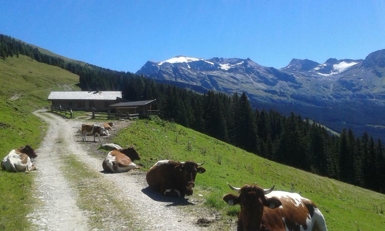 Fruehstuecks- Pension Sonnblickhof Rauris Bagian luar foto