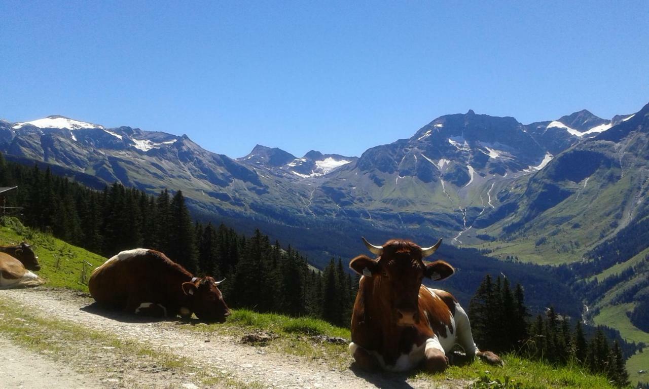 Fruehstuecks- Pension Sonnblickhof Rauris Bagian luar foto
